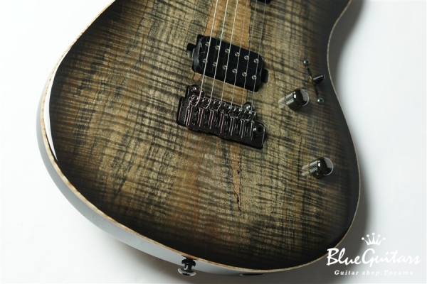 FUTURA-S HH LTD / Alder Back Spalted Maple Top Body - Transparent Black